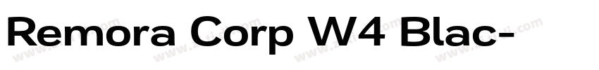 Remora Corp W4 Blac字体转换